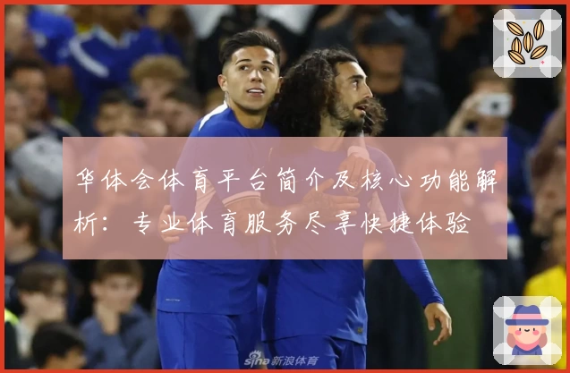 华体会体育平台简介及核心功能解析：专业体育服务尽享快捷体验